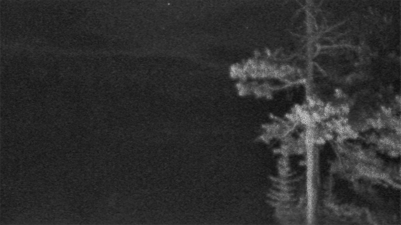 Kings Hill - North Curve Elev 7380