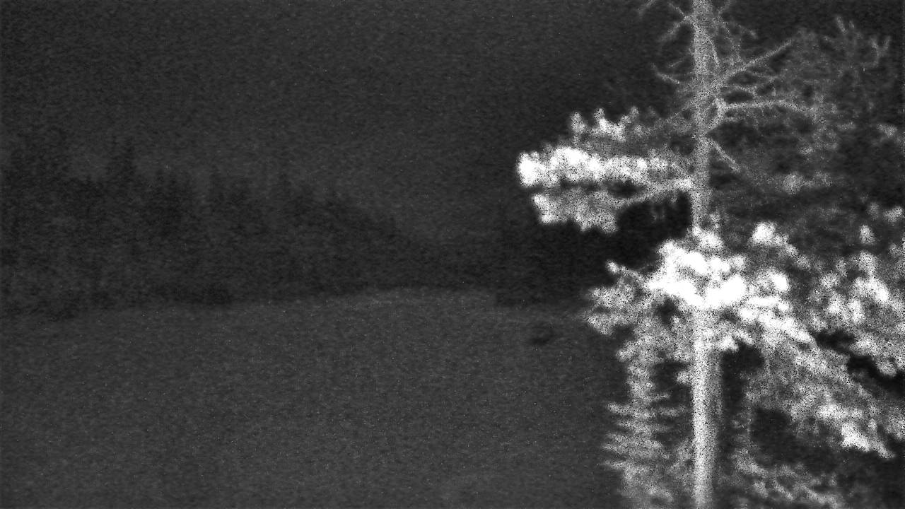 North Curve Elev 7380 - 04/25/2026 02:45 AM