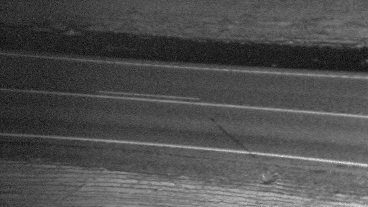 Roadway Elev 2356 - 05/02/2026 01:45 AM
