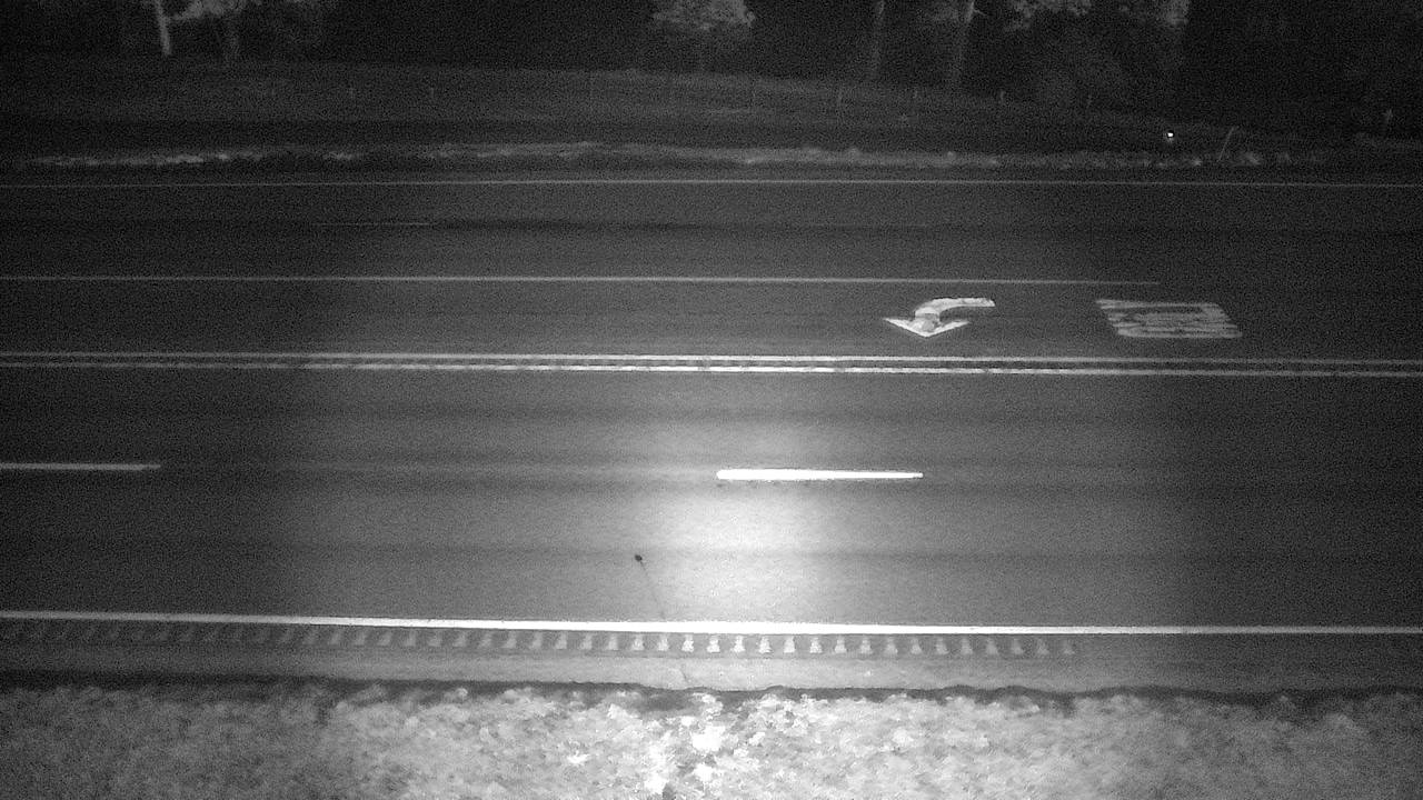 Roadway Elev 3175 - 04/25/2026 02:45 AM