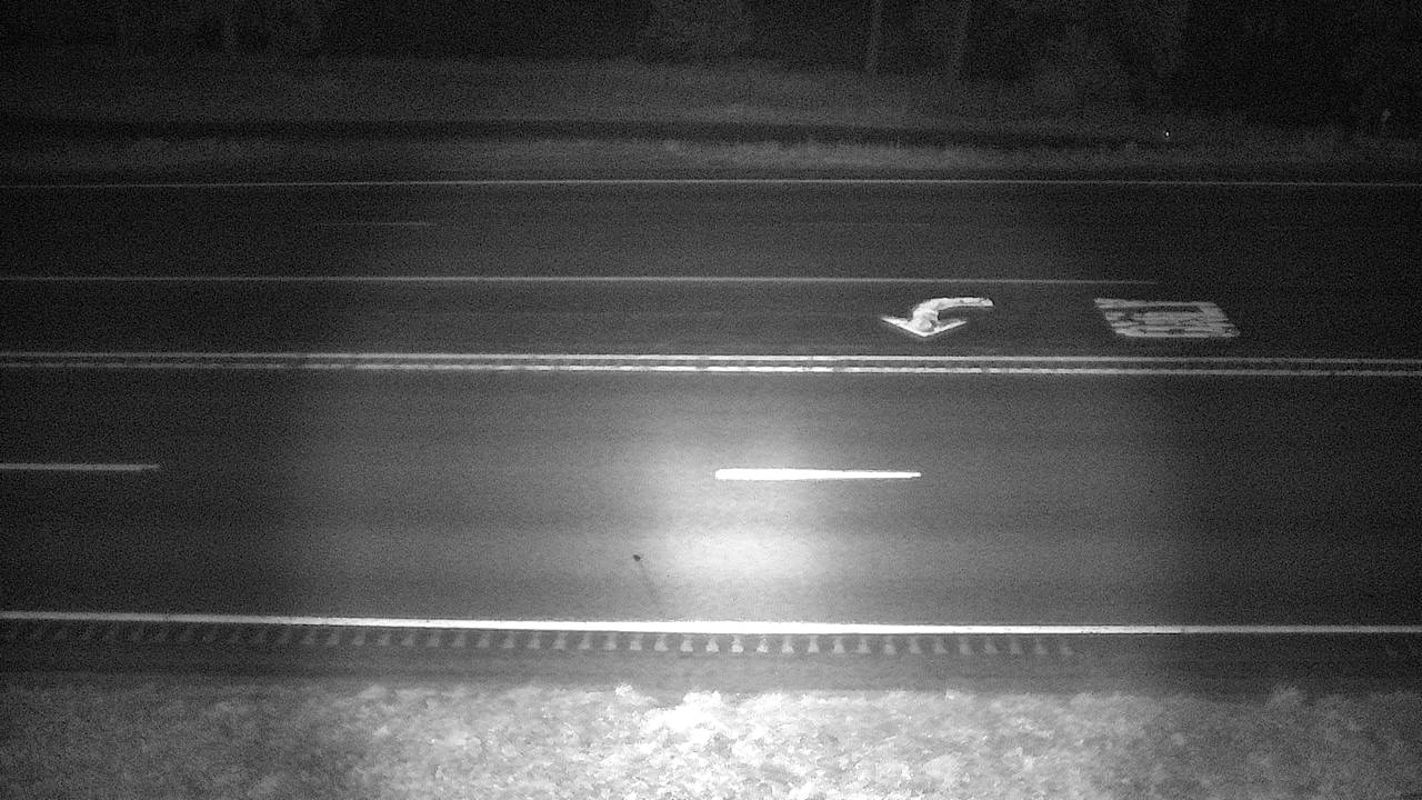 Lolo North - Roadway Elev 3175