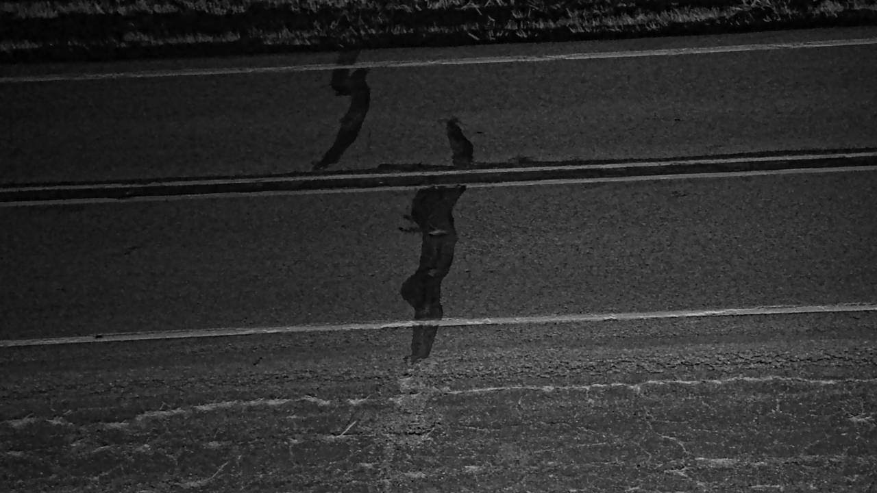 Roadway Elev 2998 - 03/09/2026 12:30 AM