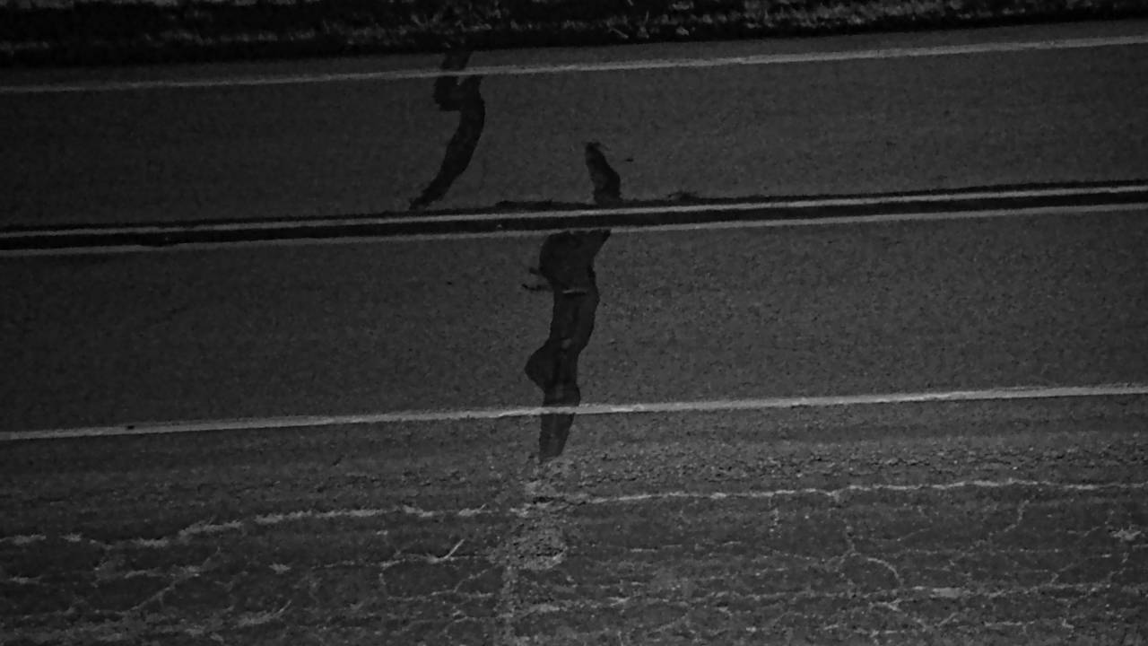 Roadway Elev 2998 - 04/25/2026 02:30 AM