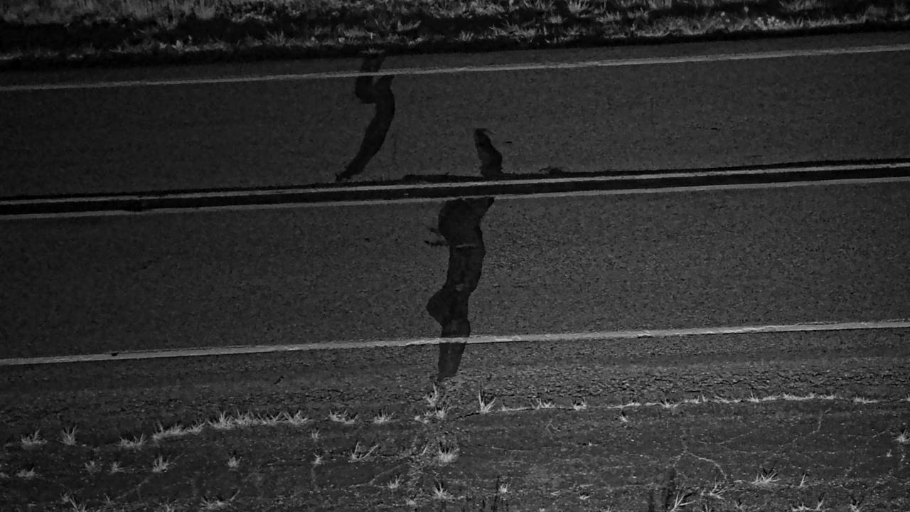 Roadway Elev 2998 - 06/09/2026 04:15 AM