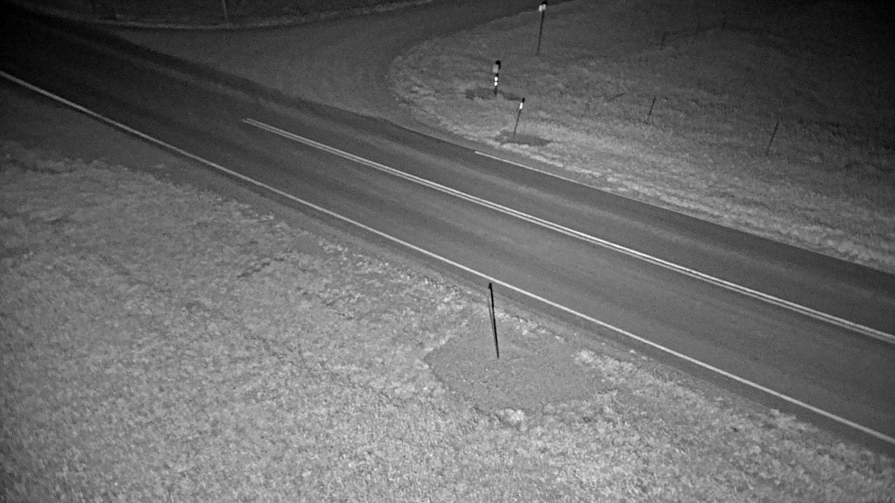 Roadway Elev 2401 - 10/04/2026 03:15 AM