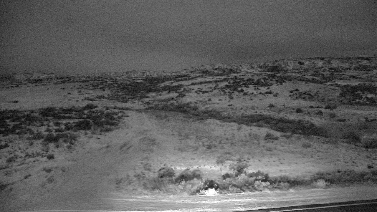 McGuire Creek - West Elev 2380