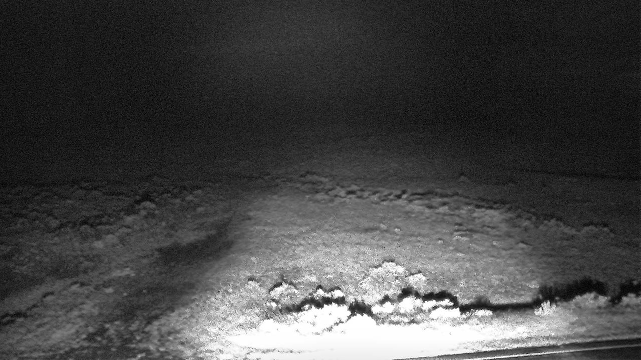 McGuire Creek - West Elev 2380