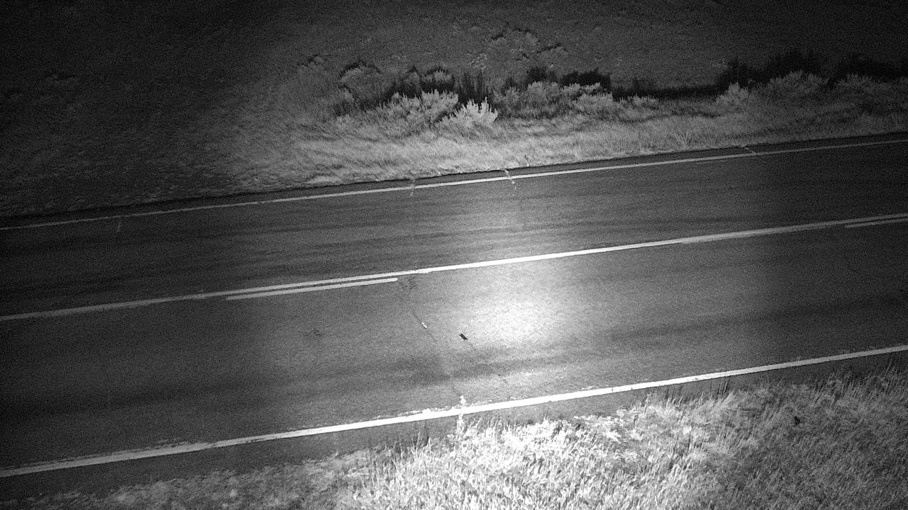 Roadway Elev 2380 - 10/04/2026 03:30 AM
