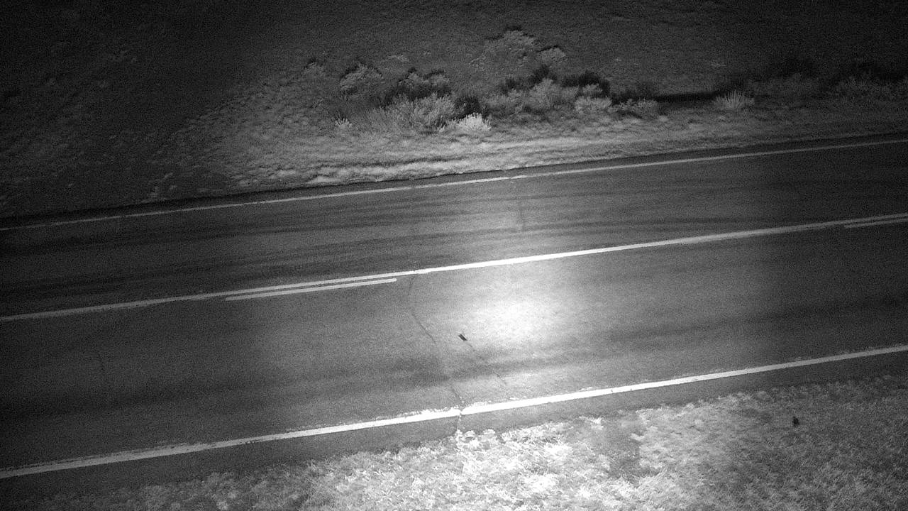 McGuire Creek - Roadway Elev 2380