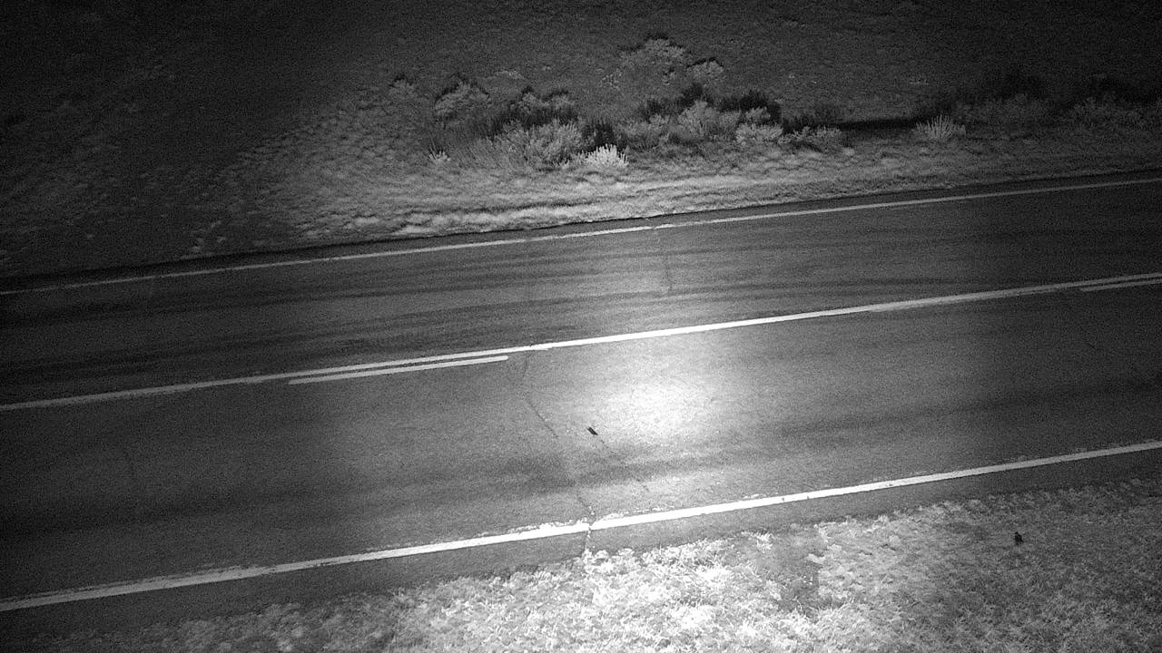 Roadway Elev 2380 - 05/02/2026 01:45 AM