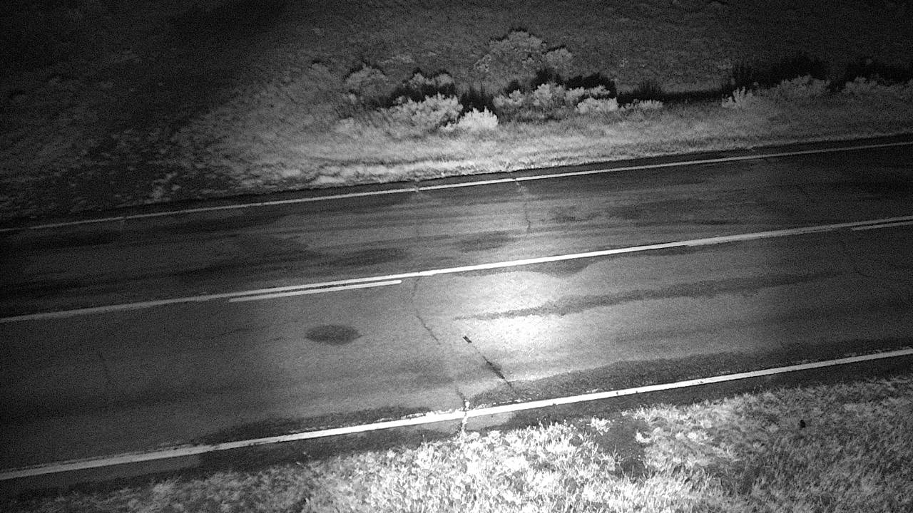 McGuire Creek - Roadway Elev 2380