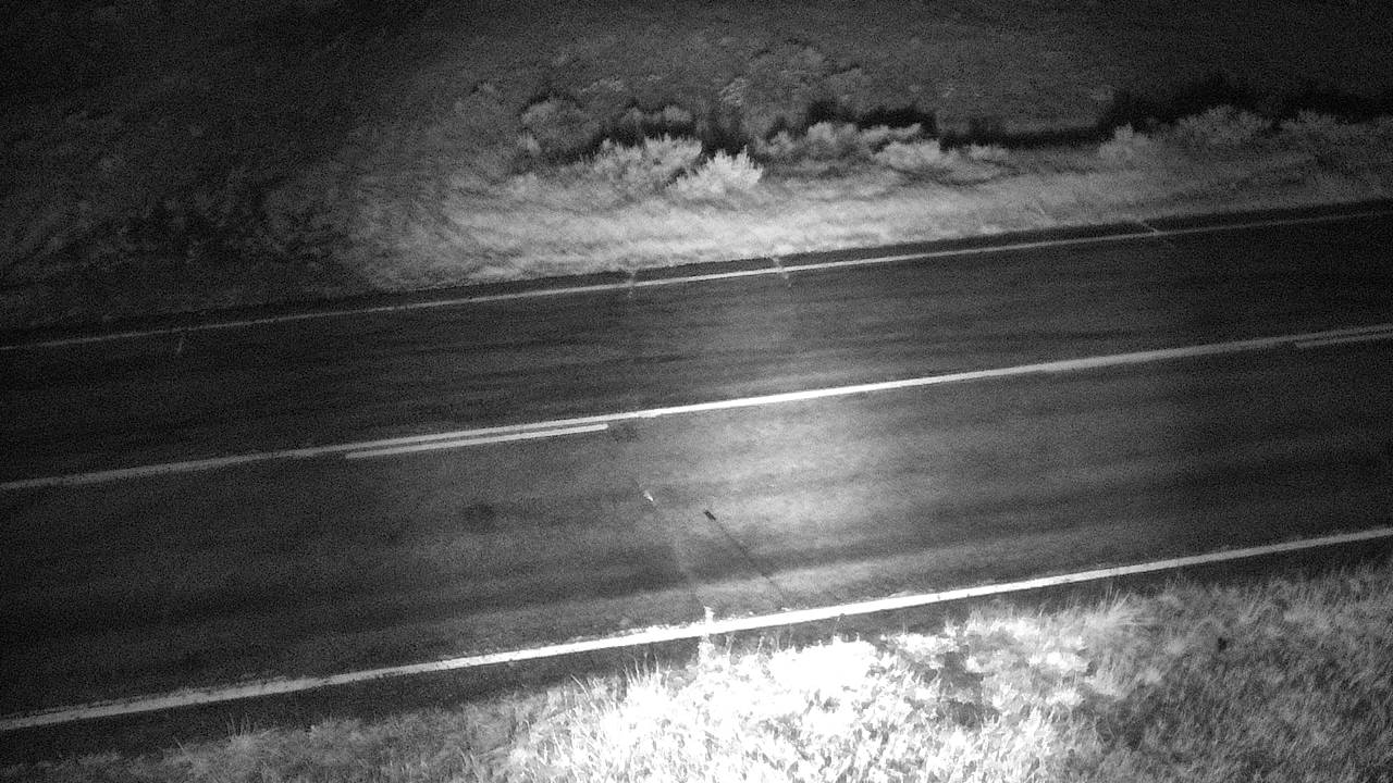 McGuire Creek - Roadway Elev 2380