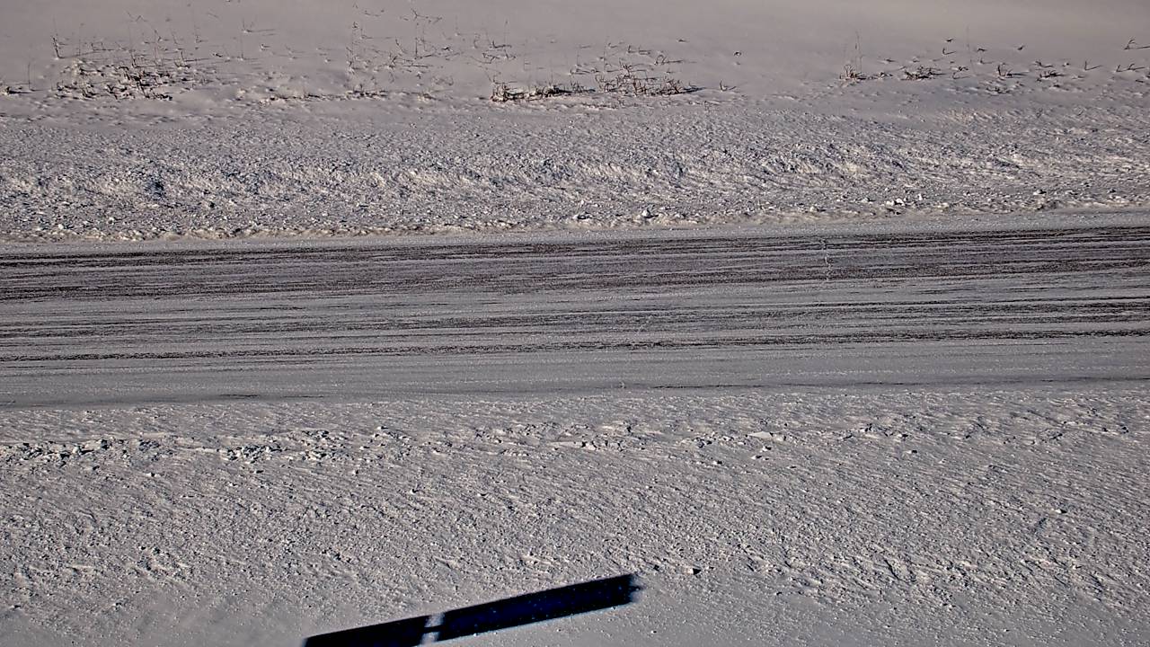 Monarch Canyon - Roadway Elev 5218