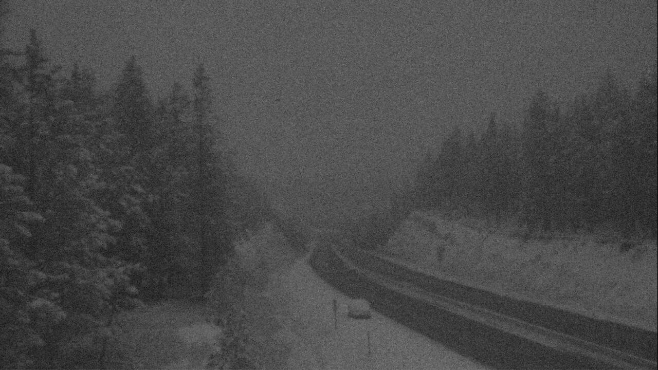 Ninemile - West Elev 3170