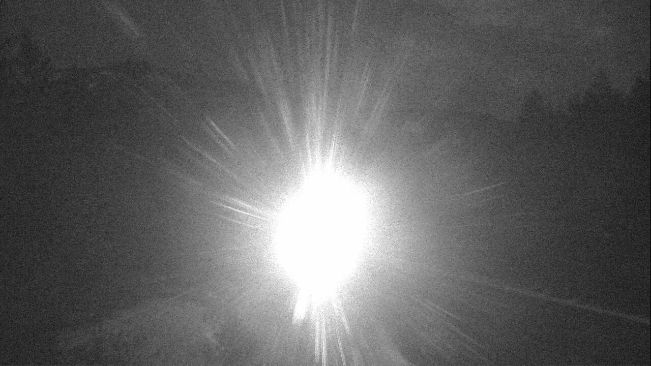 Ninemile - West Elev 3170