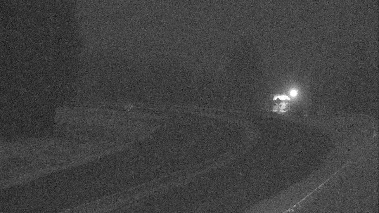 Ninemile - East Elev 3170