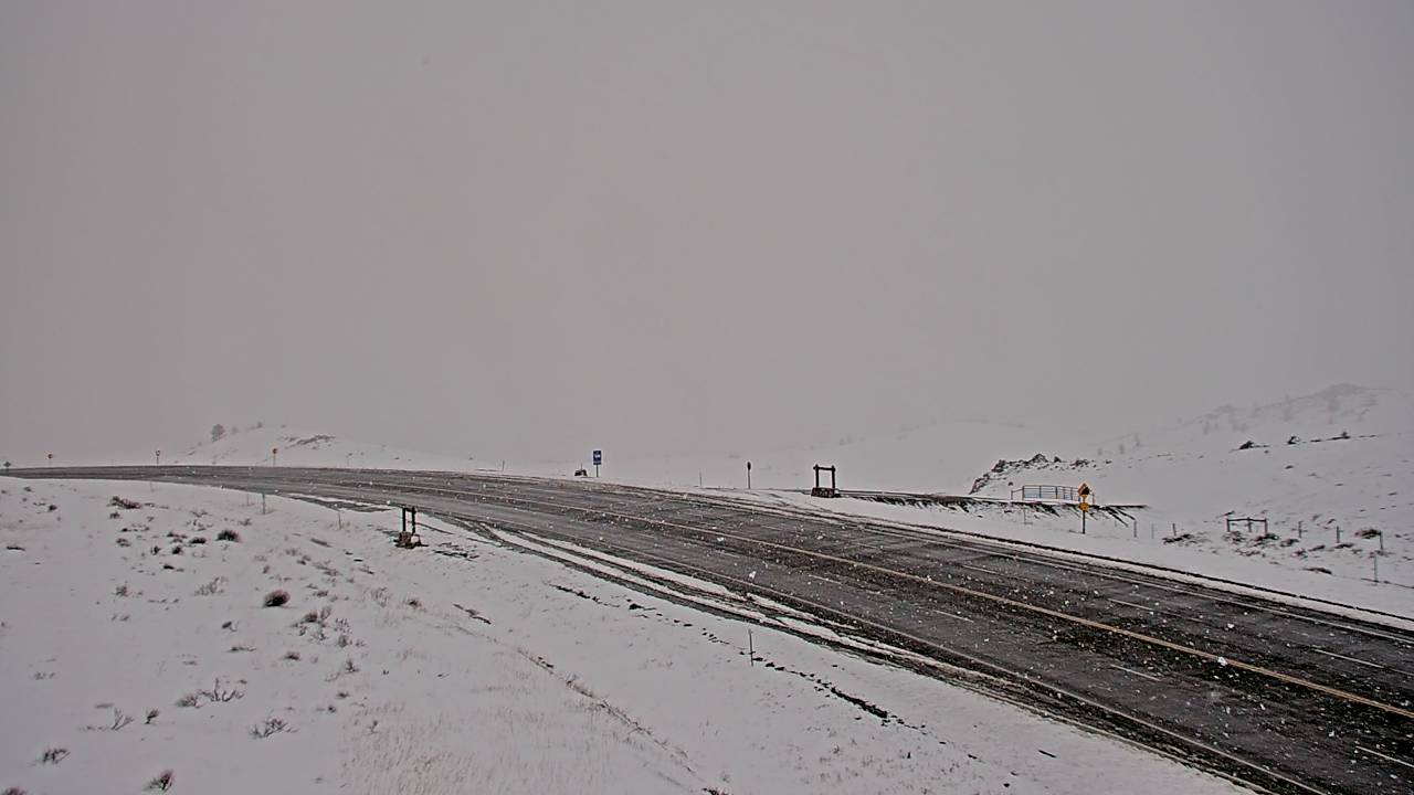 Norris Hill - Southwest Elev 5400