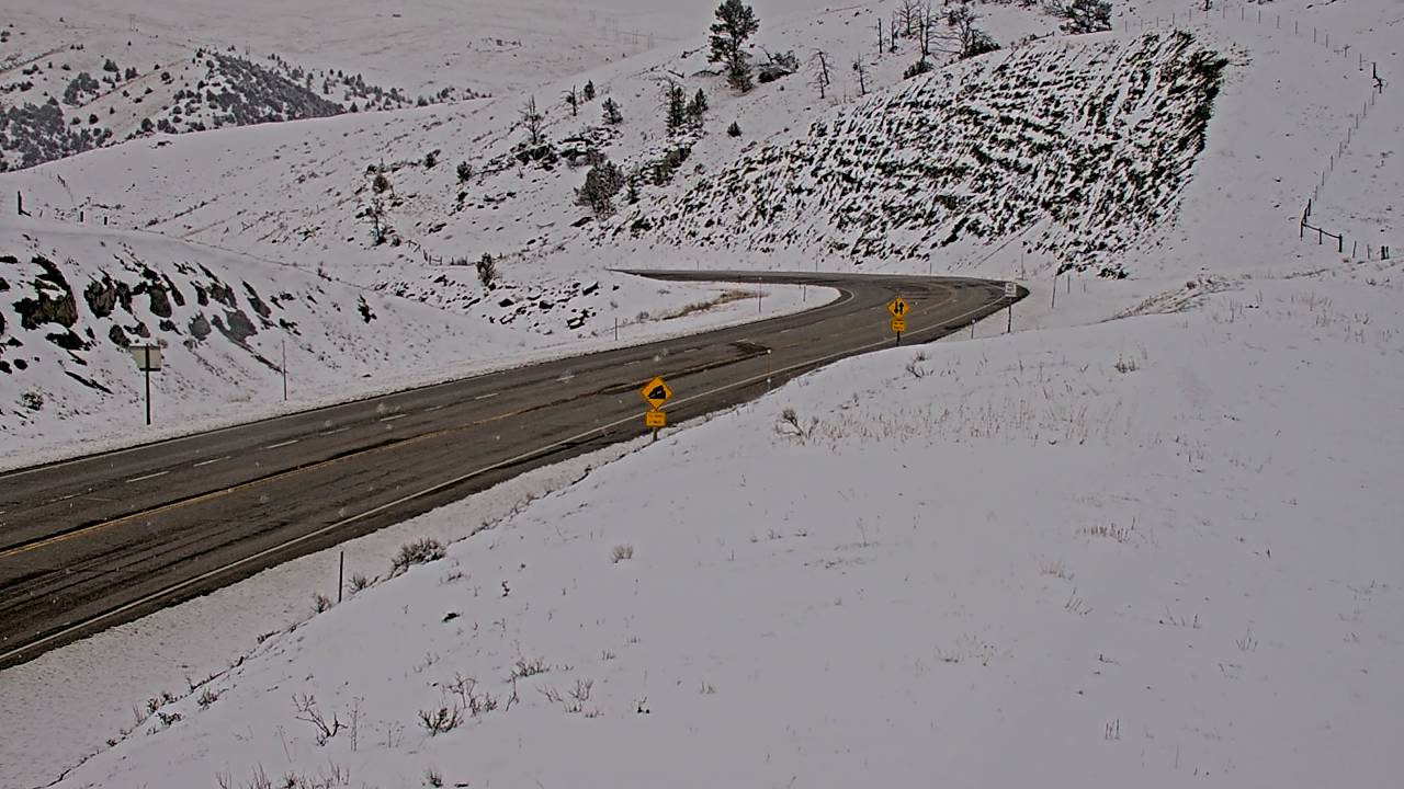 Norris Hill - Northwest Corner Elev 5400