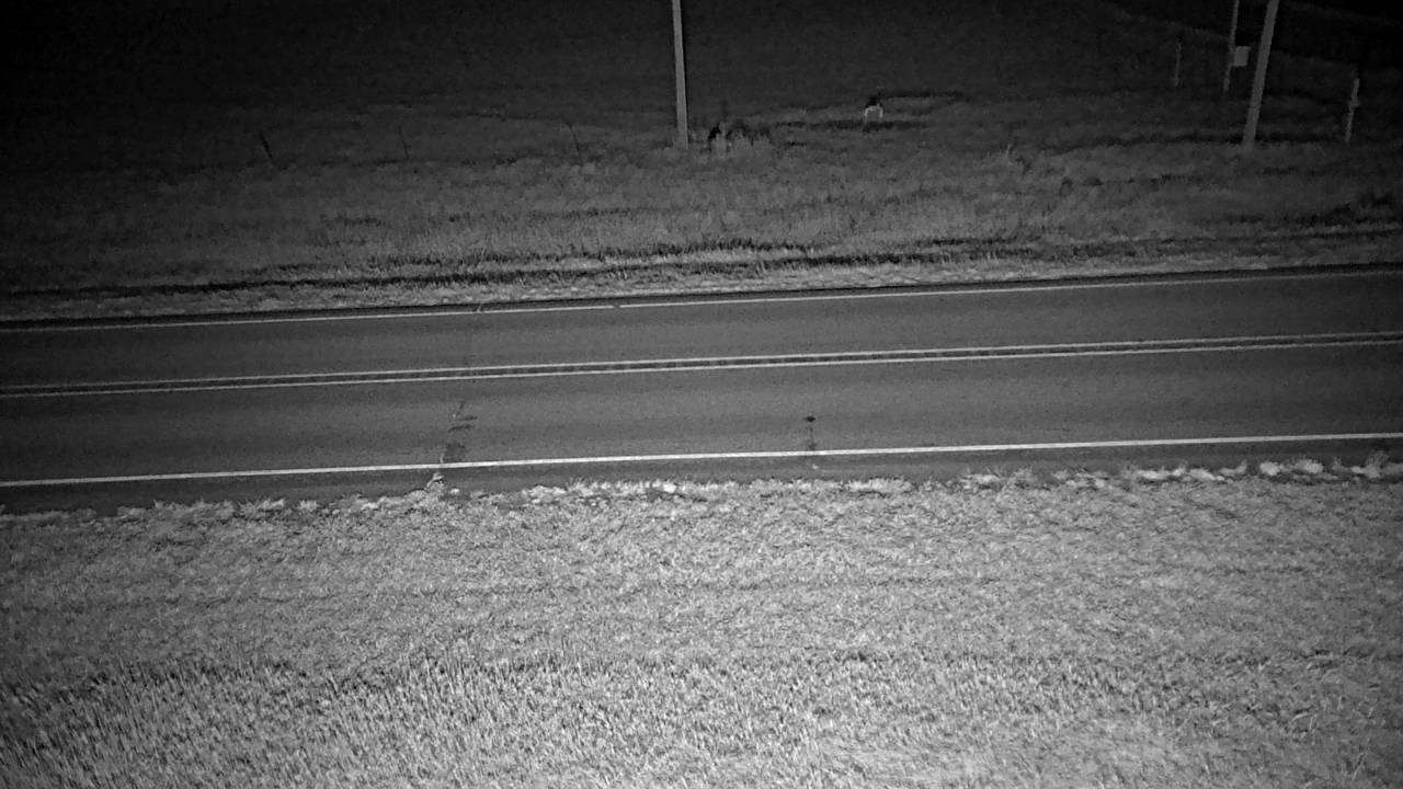 Roadway Elev 2177 - 10/04/2026 03:00 AM