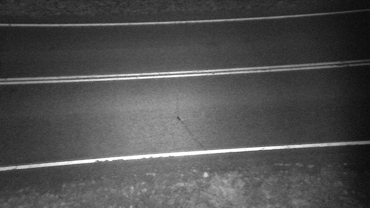 Roadway Elev 3320 - 04/25/2026 02:45 AM