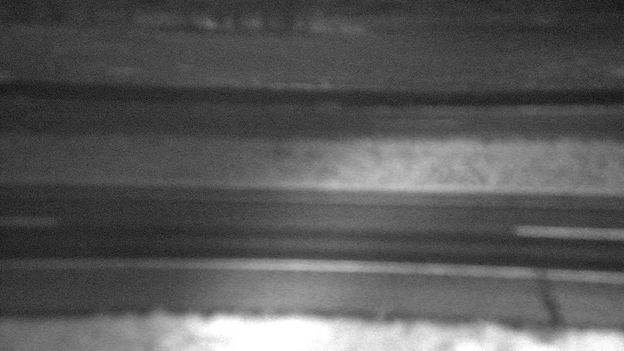 Springdale - Roadway Elev 4570