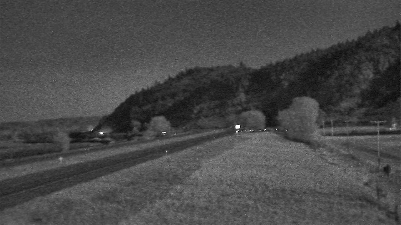 Springdale - Northeast Elev 4570