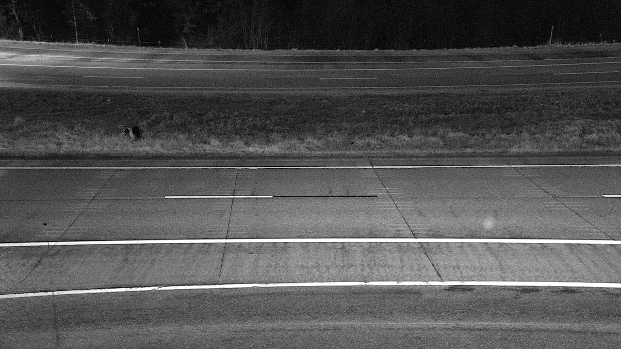 Roadway Elev 2635 - 03/09/2026 12:30 AM