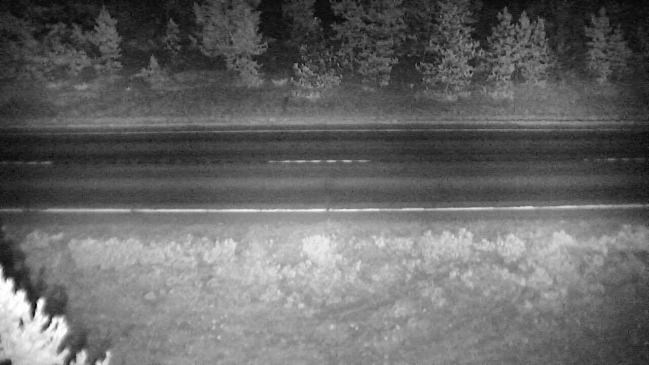 Roadway Elev 3567 - 03/09/2026 12:30 AM