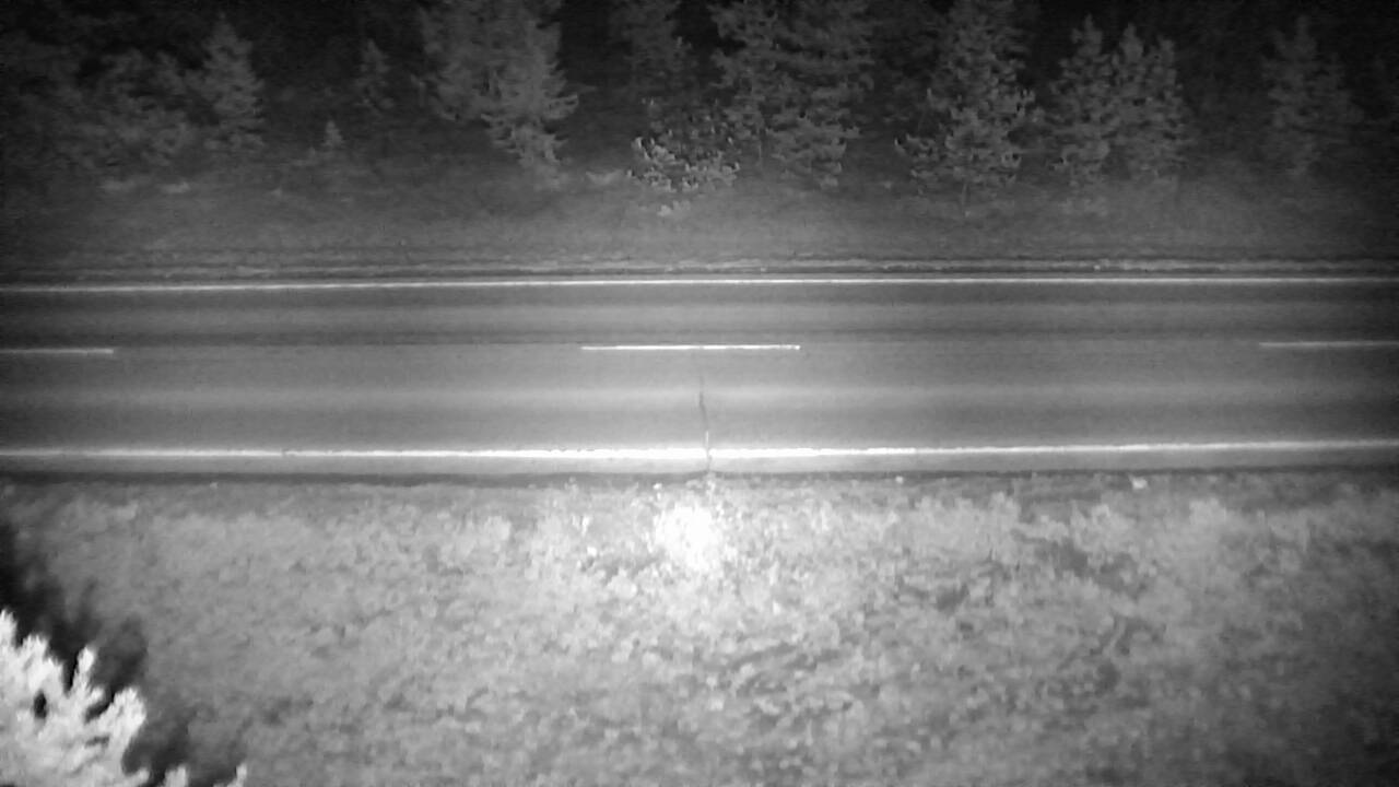Roadway Elev 3567 - 04/25/2026 02:45 AM