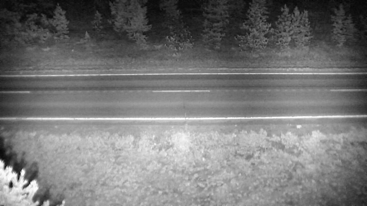 Swan Lake - Roadway Elev 3567