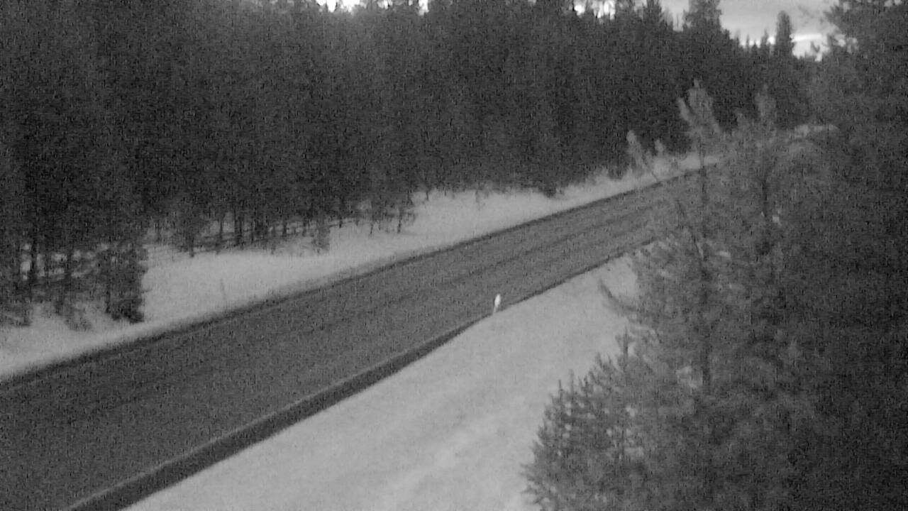 Swan Lake - South Elev 3567