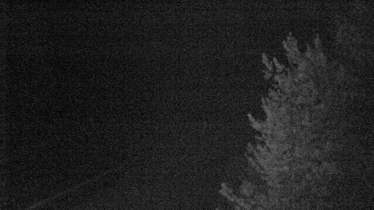 South Elev 3567 - 04/25/2026 02:45 AM