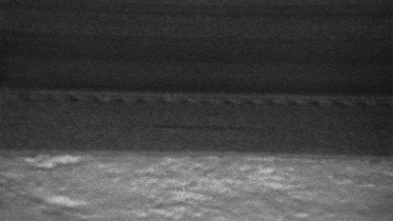 Roadway Elev 3390 - 03/09/2026 12:30 AM