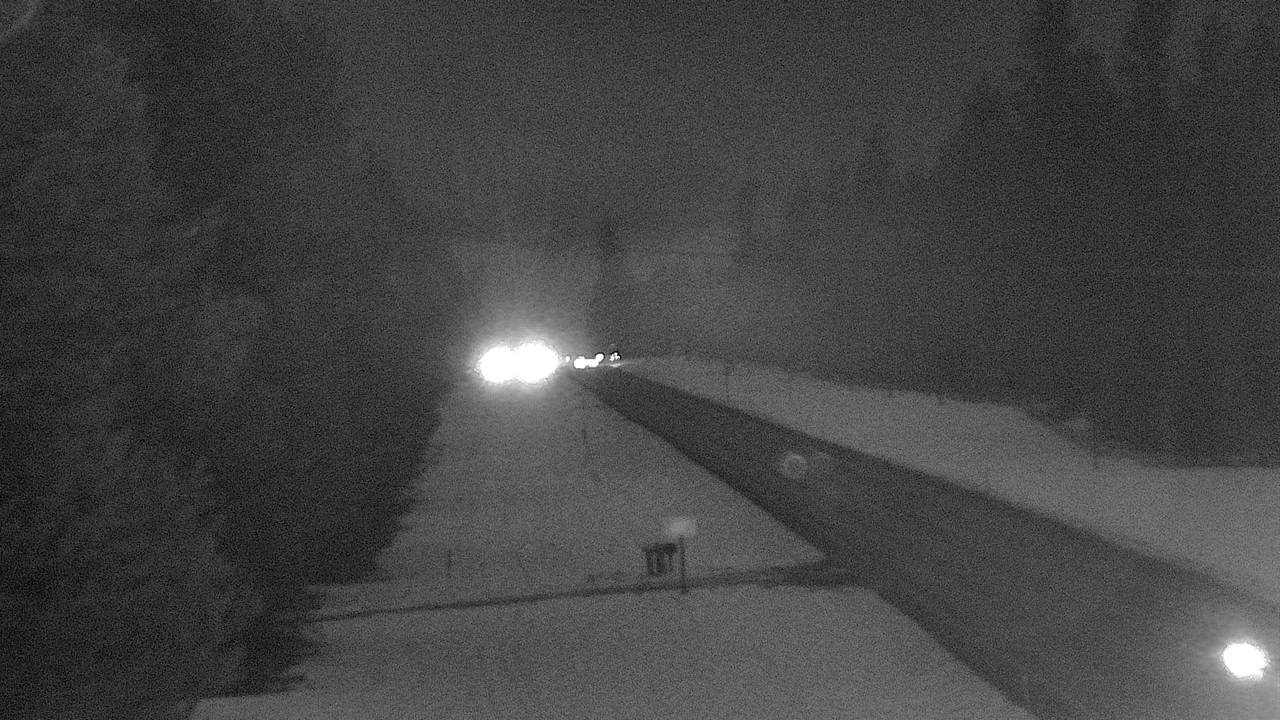 Trout Creek - West Horizon Elev 2384