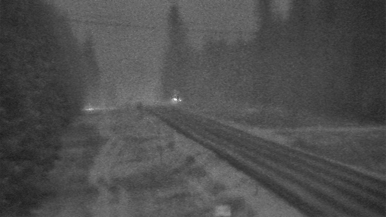 Trout Creek - West Elev 2384