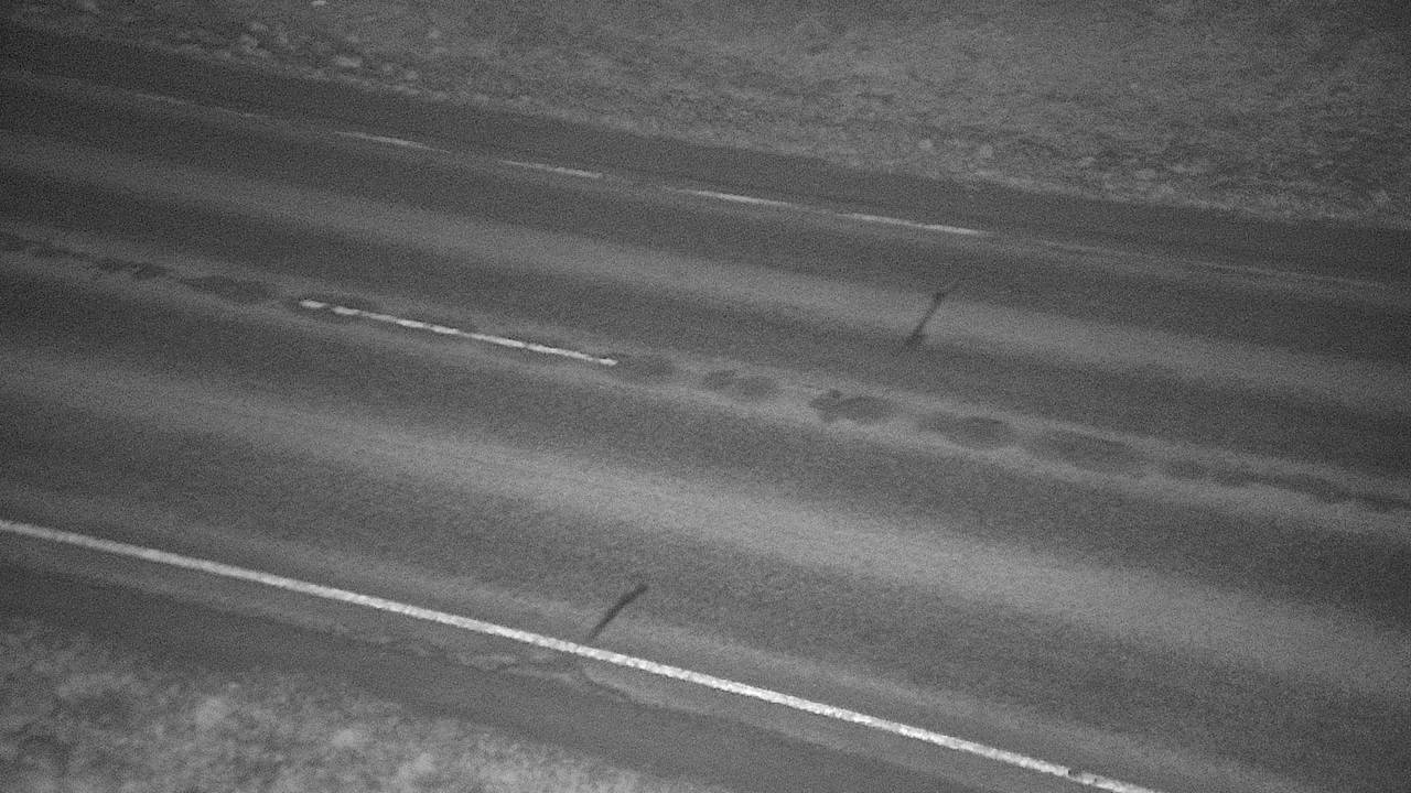 Roadway Elev 2384 - 02/01/2026 04:00 AM