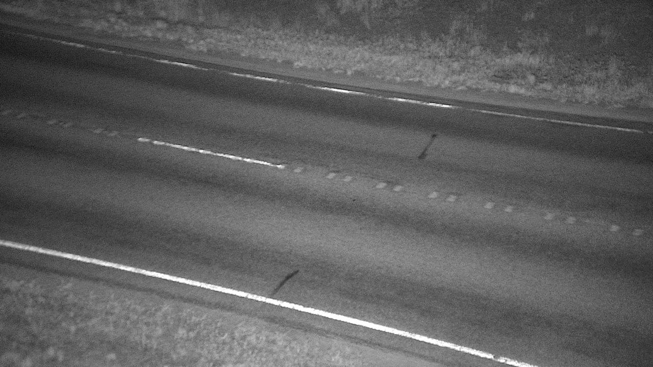 Trout Creek - Roadway Elev 2384