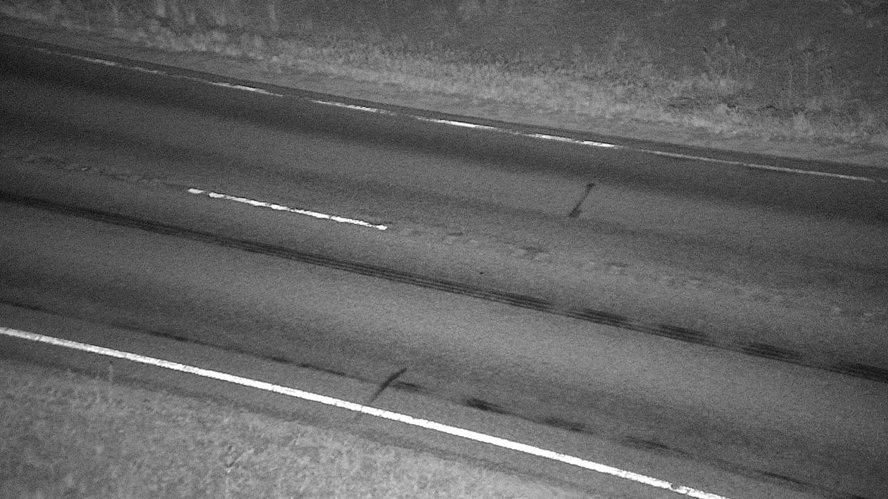 Trout Creek - Roadway Elev 2384