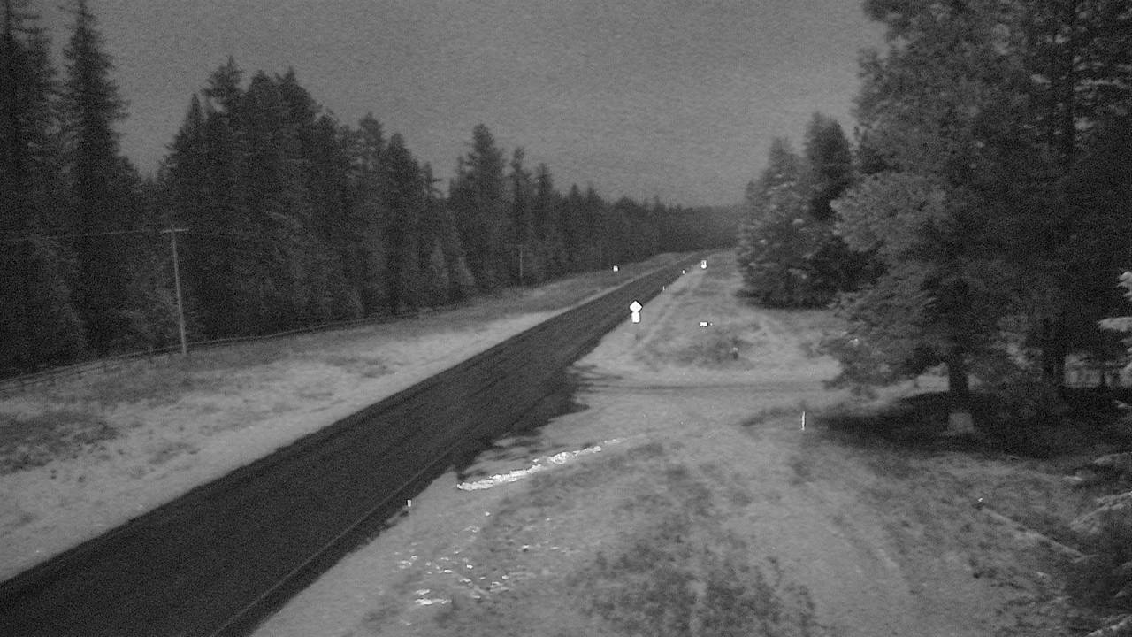 Trout Creek - East Elev 2384