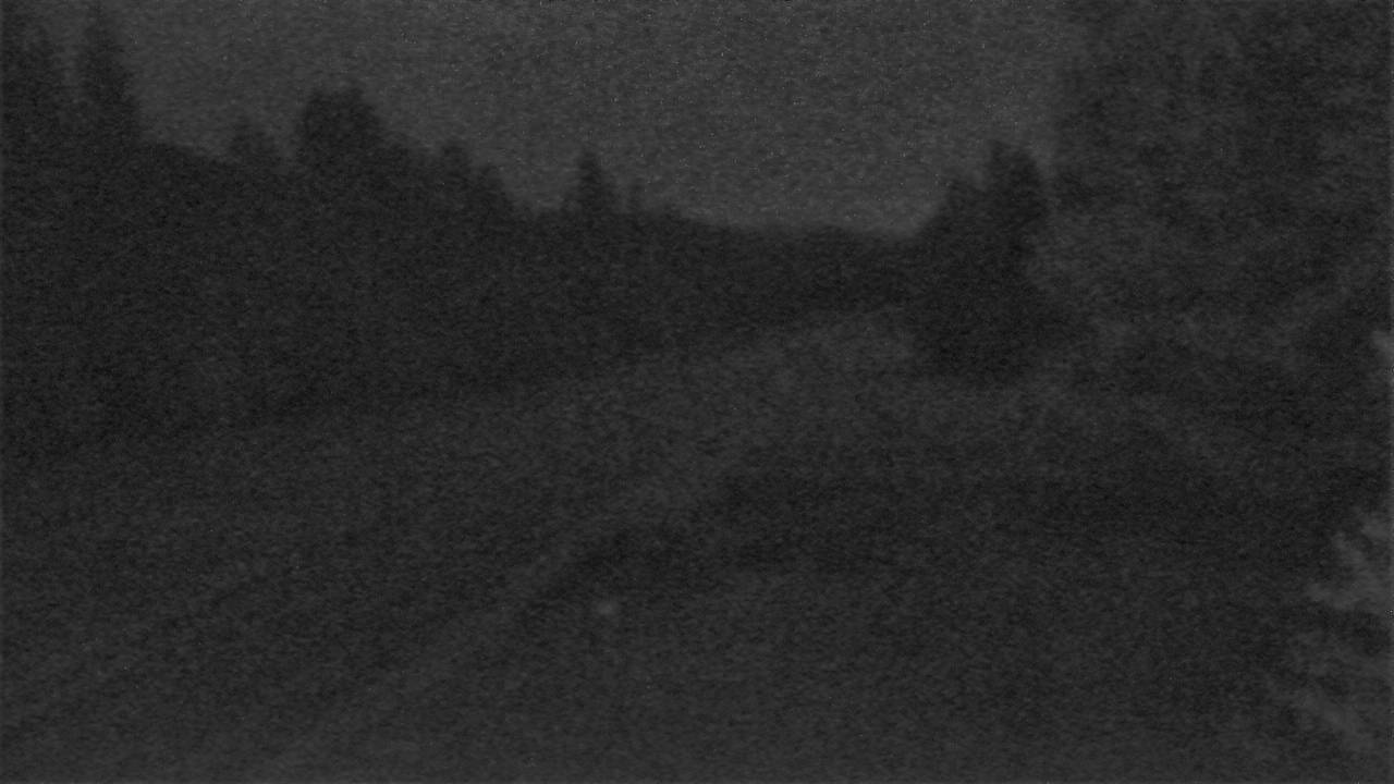 East Elev 2384 - 04/25/2026 02:30 AM