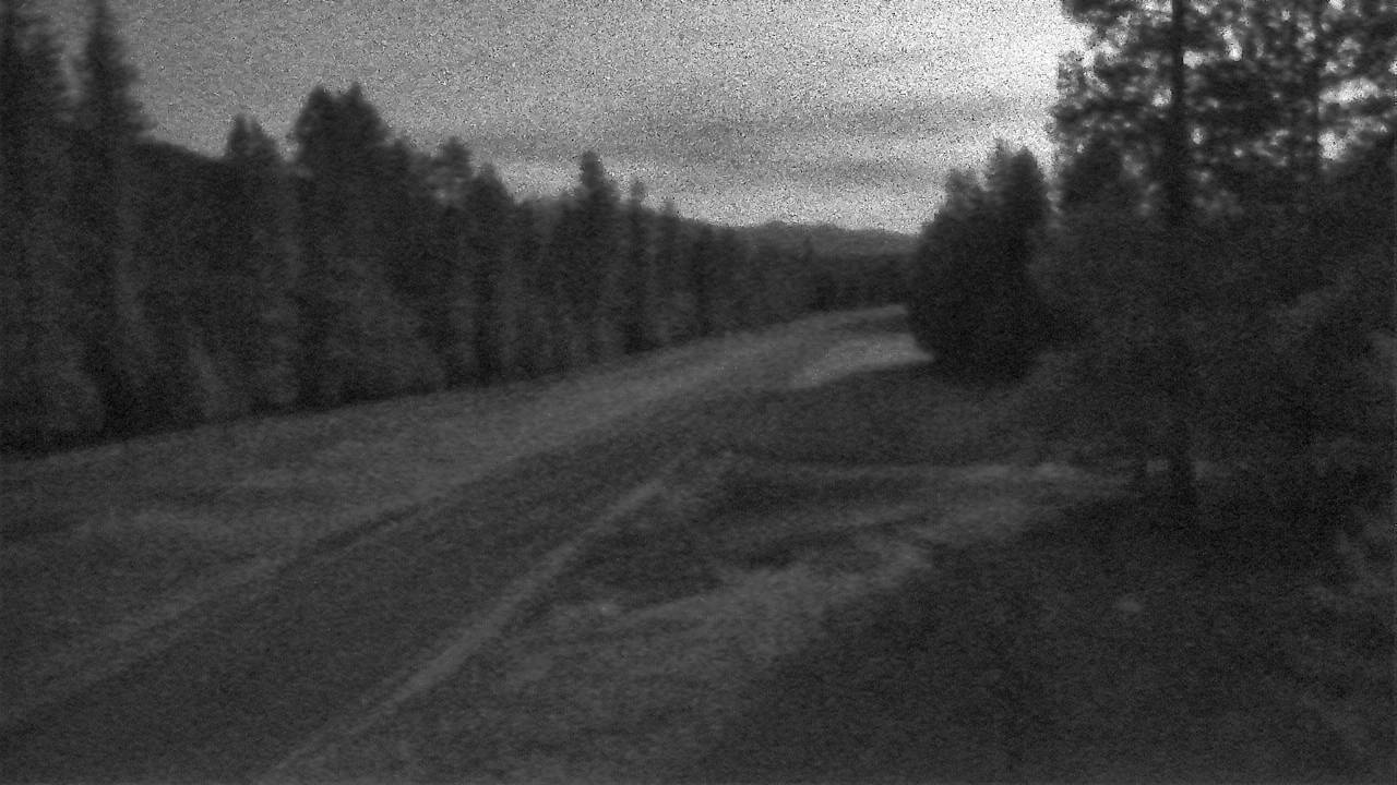 Trout Creek - East Elev 2384