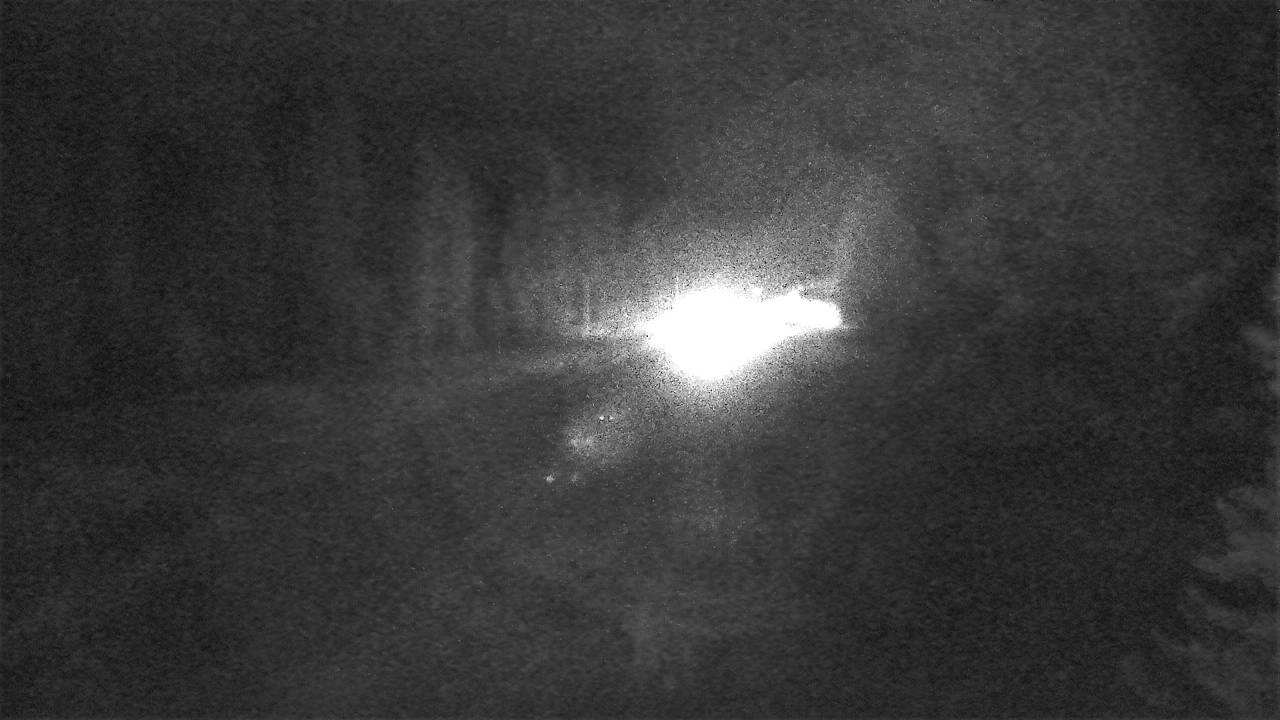 East Elev 2384 - 06/09/2026 04:30 AM