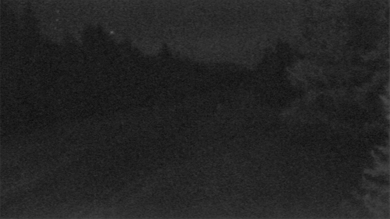 Trout Creek - East Elev 2384