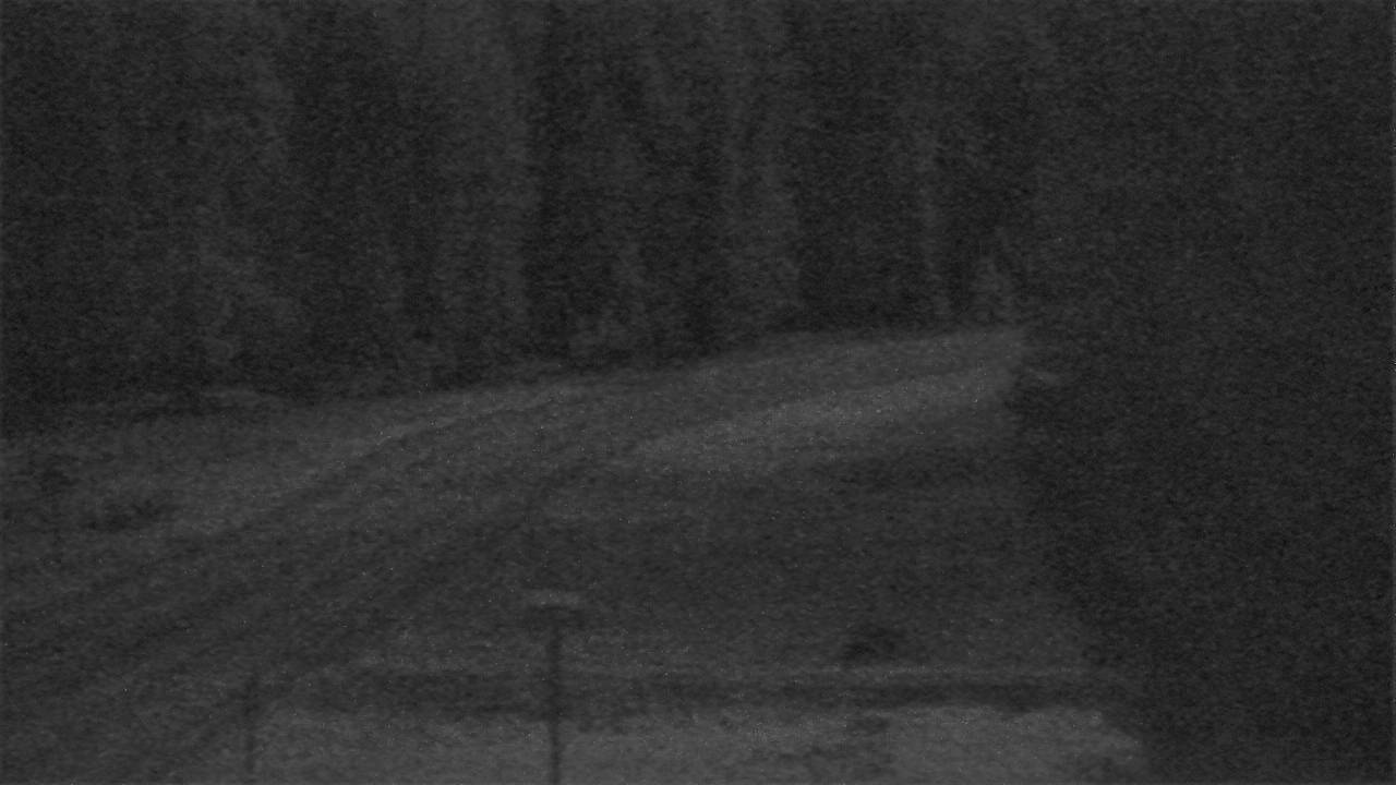Trout Creek - East Curve Elev 2384