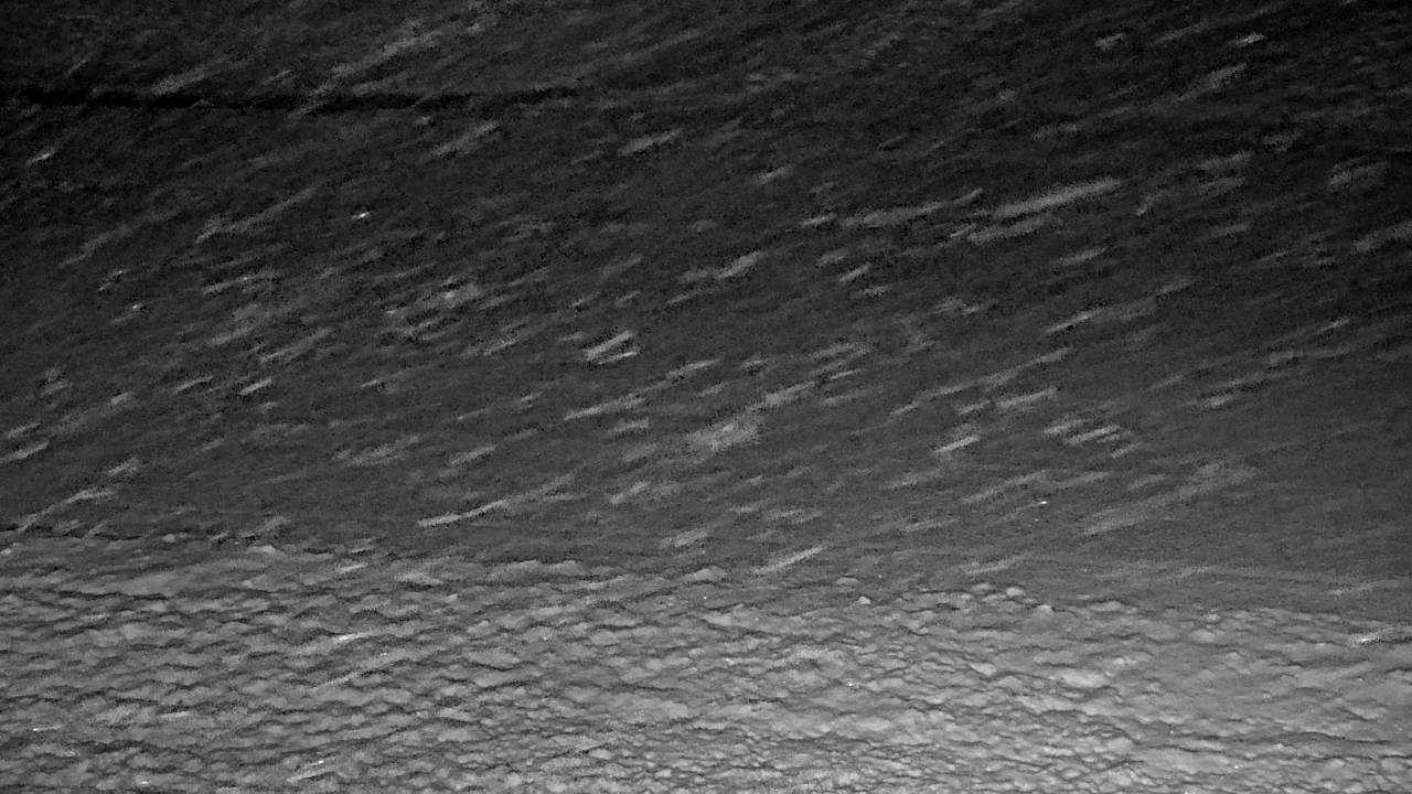 Roadway Elev 4920 - 04/25/2026 02:45 AM