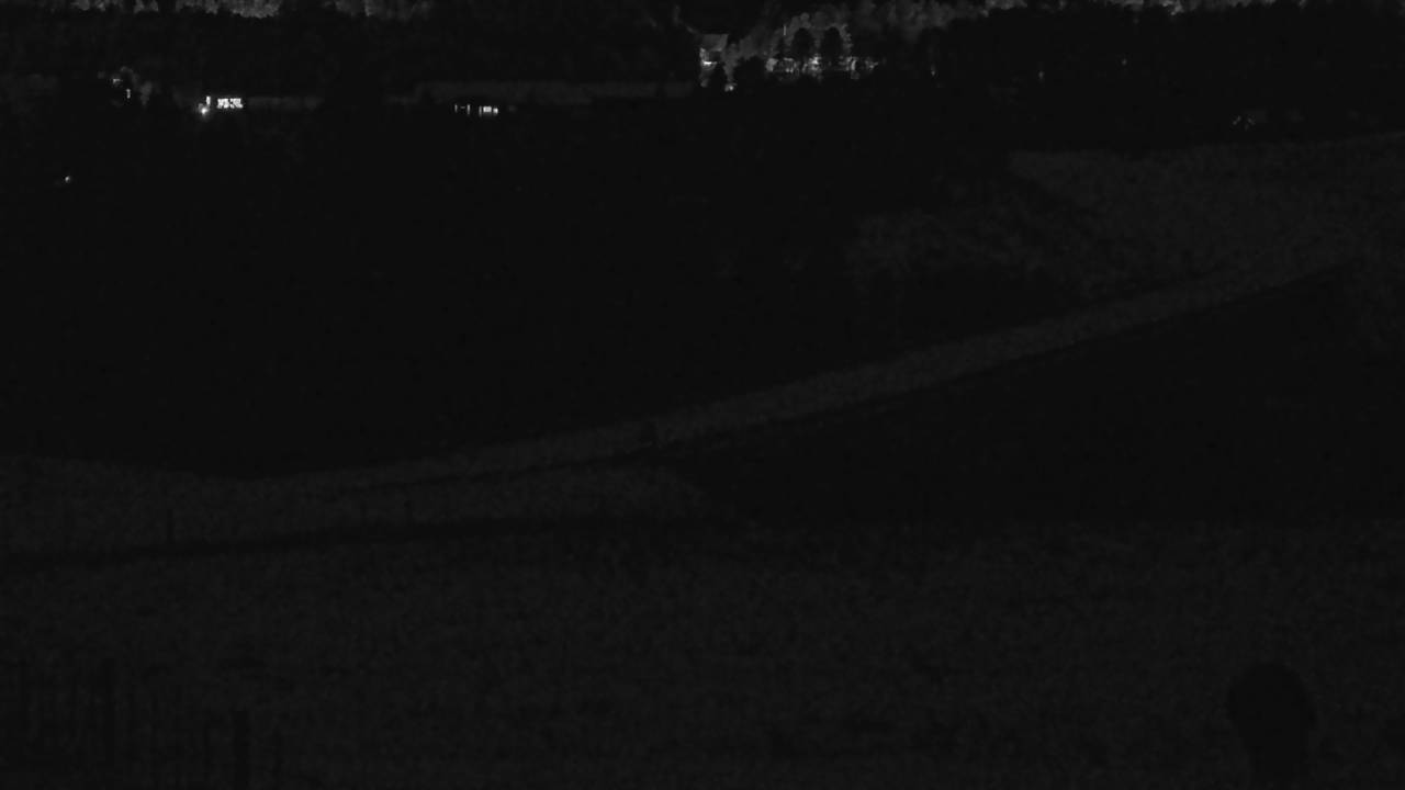 Bridge Deck Elev 4920 - 03/09/2026 12:30 AM