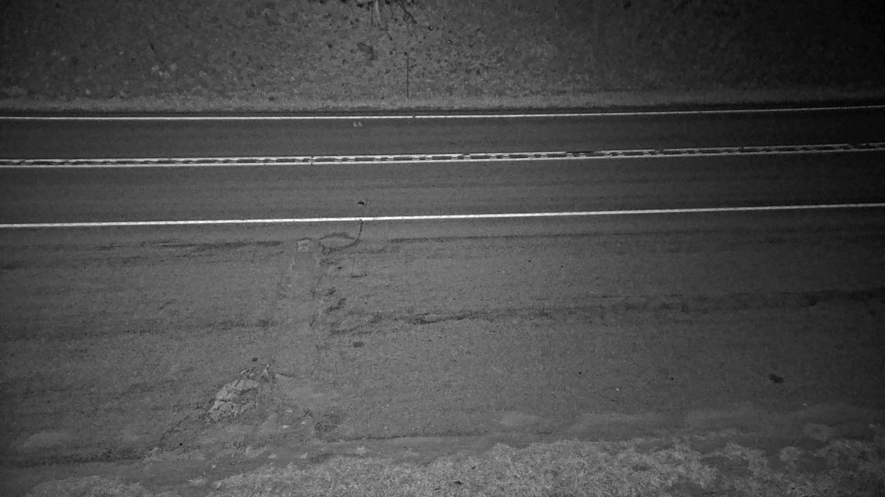 Roadway Elev 2201 - 10/04/2026 03:30 AM