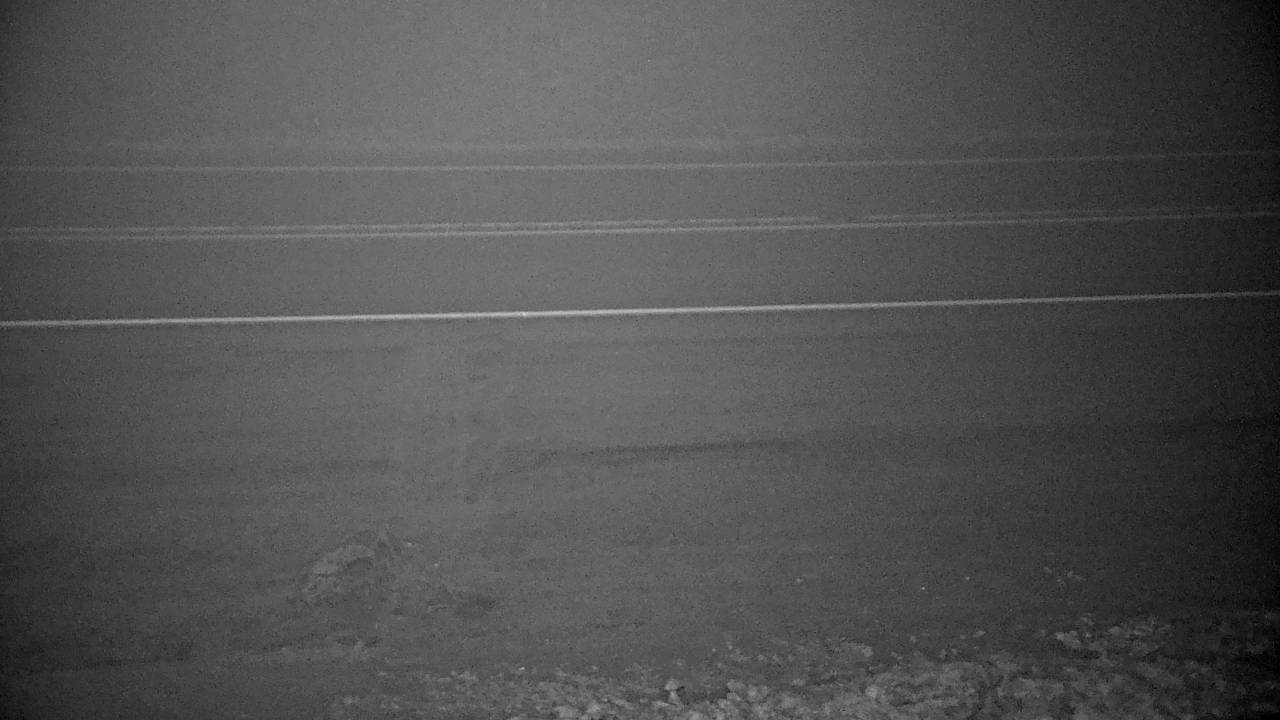 Roadway Elev 2201 - 02/01/2026 04:15 AM