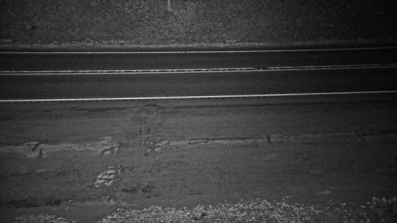 Yaak Hill - Roadway Elev 2201