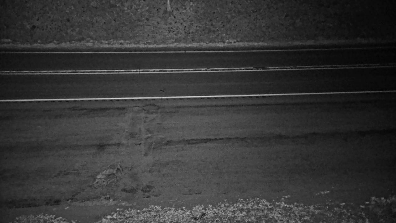 Roadway Elev 2201 - 03/19/2026 06:45 AM